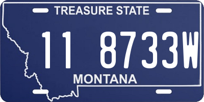 MT license plate 118733W