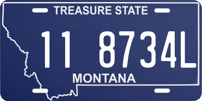 MT license plate 118734L