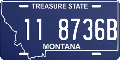 MT license plate 118736B