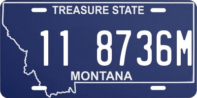 MT license plate 118736M