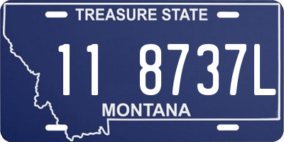 MT license plate 118737L