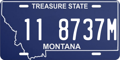 MT license plate 118737M