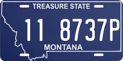 MT license plate 118737P