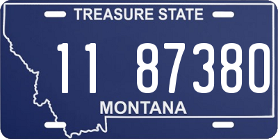MT license plate 118738O