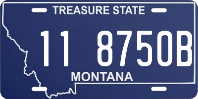 MT license plate 118750B