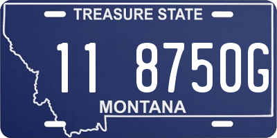 MT license plate 118750G