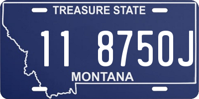 MT license plate 118750J