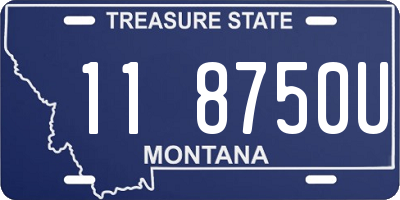 MT license plate 118750U