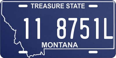 MT license plate 118751L