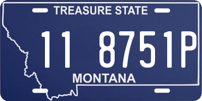 MT license plate 118751P