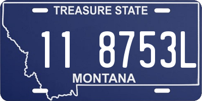 MT license plate 118753L