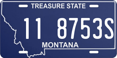 MT license plate 118753S