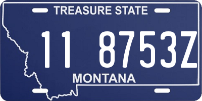 MT license plate 118753Z