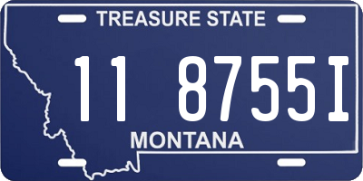 MT license plate 118755I