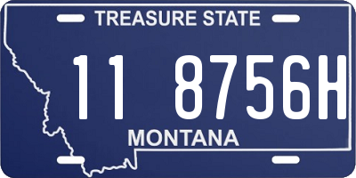 MT license plate 118756H