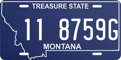 MT license plate 118759G
