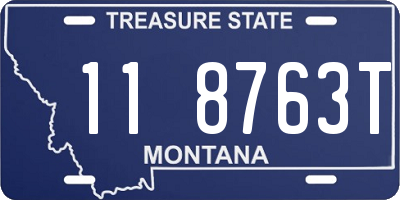 MT license plate 118763T