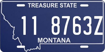 MT license plate 118763Z