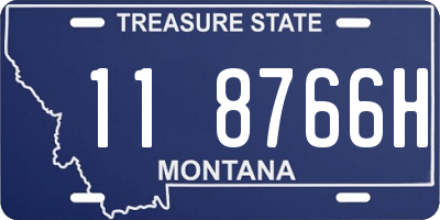 MT license plate 118766H