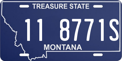 MT license plate 118771S