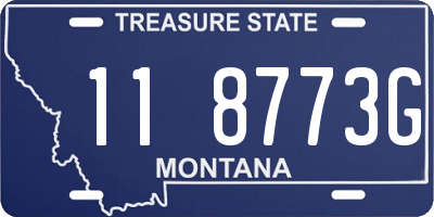 MT license plate 118773G