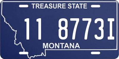 MT license plate 118773I