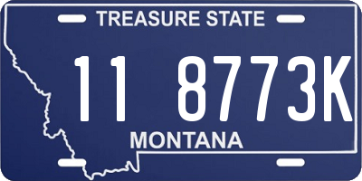 MT license plate 118773K