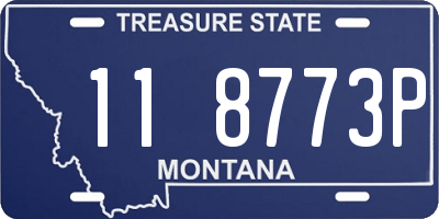 MT license plate 118773P