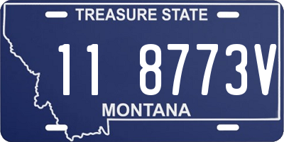 MT license plate 118773V