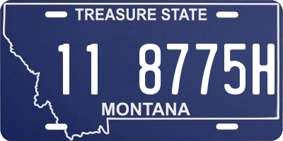 MT license plate 118775H