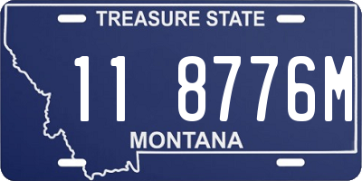MT license plate 118776M