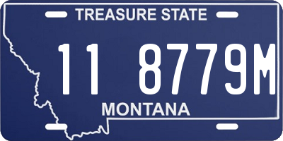 MT license plate 118779M