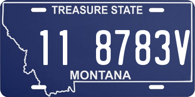 MT license plate 118783V