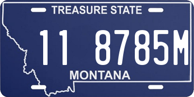 MT license plate 118785M