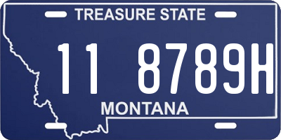 MT license plate 118789H