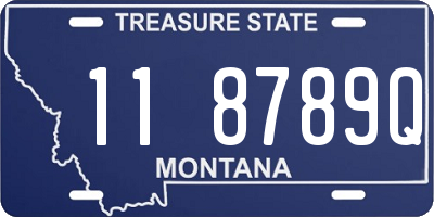 MT license plate 118789Q