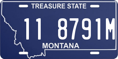 MT license plate 118791M