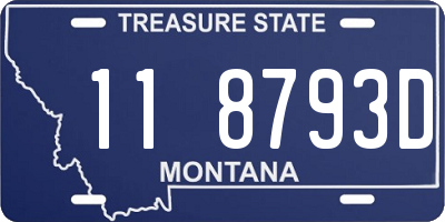 MT license plate 118793D