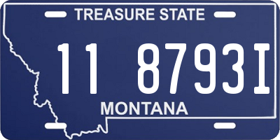 MT license plate 118793I