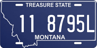 MT license plate 118795L