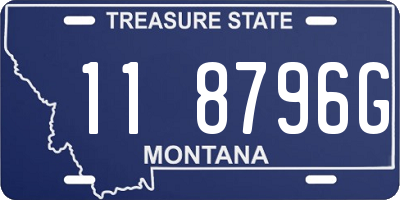 MT license plate 118796G