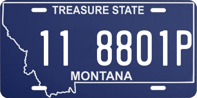 MT license plate 118801P