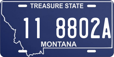 MT license plate 118802A