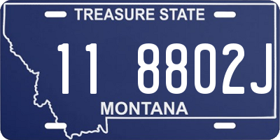 MT license plate 118802J