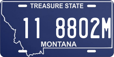 MT license plate 118802M