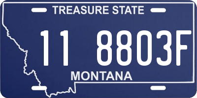 MT license plate 118803F