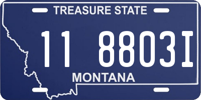 MT license plate 118803I