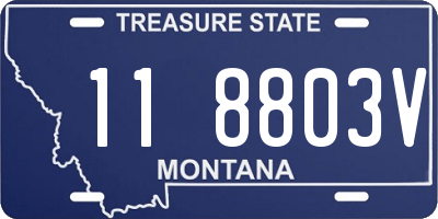 MT license plate 118803V