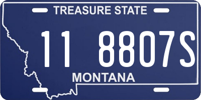 MT license plate 118807S