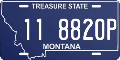 MT license plate 118820P